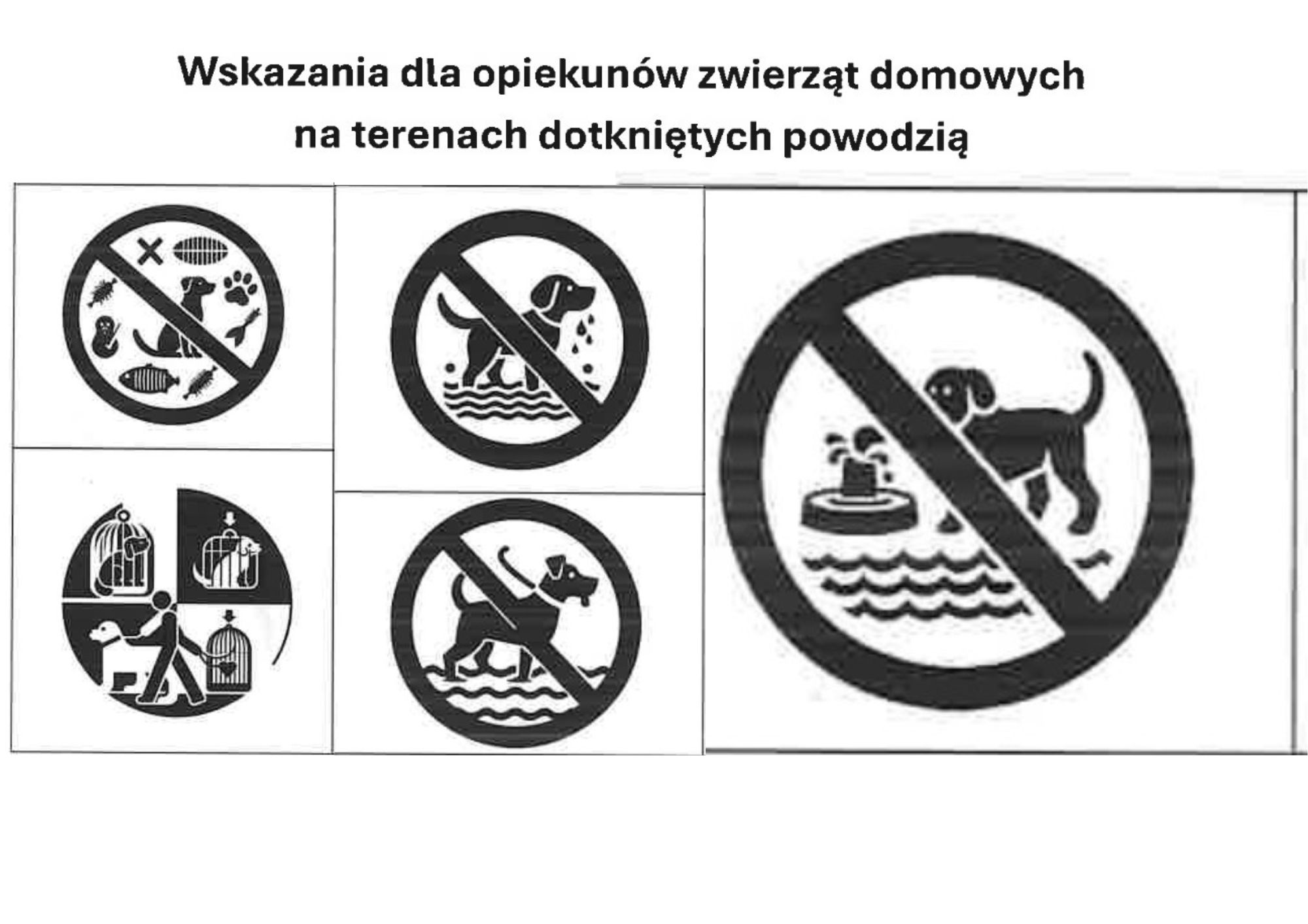 Bezpieczeństwo zwierząt domowych w czasie i po powodzi