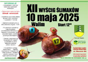 XII Wyścig Ślimaków w Walimiu