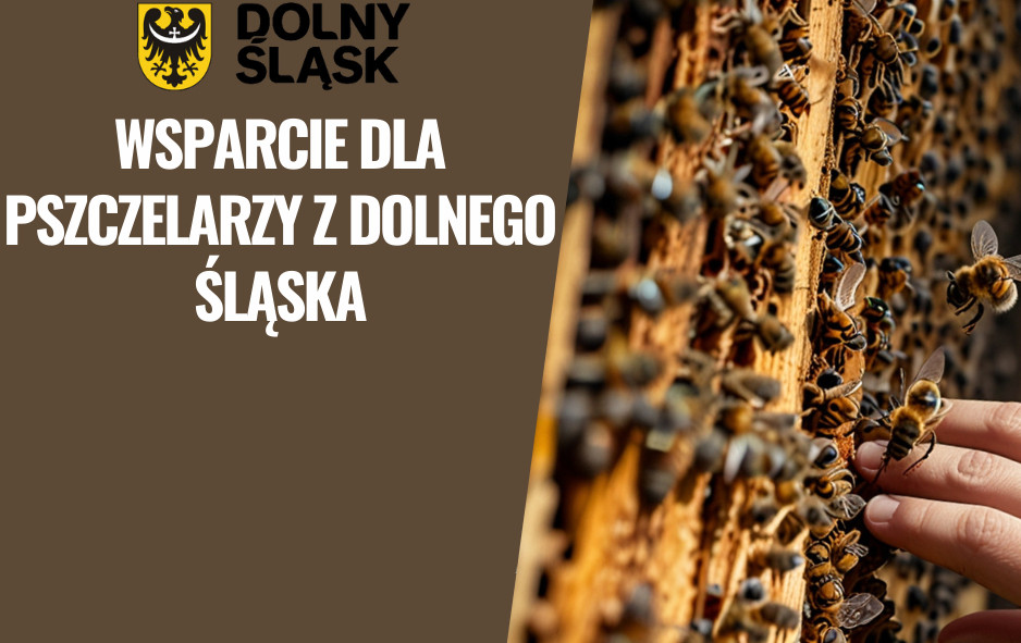 Wsparcie dla pszczelarzy – nabór zgłoszeń do 15 maja 2025 r.