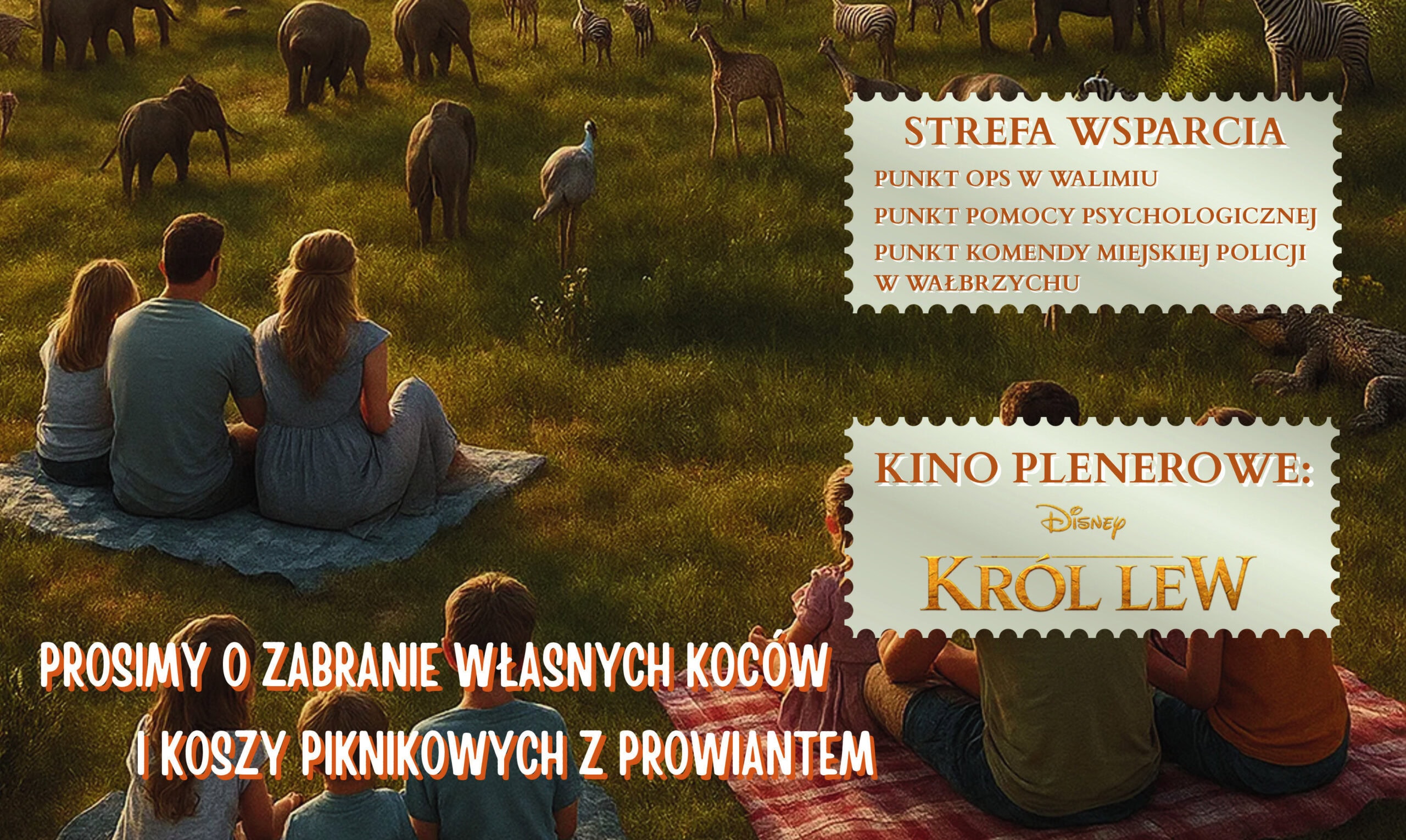 Piknik Rodzinny i kino plenerowe w Walimiu